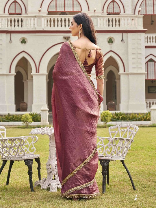Sequinned Organza Saree